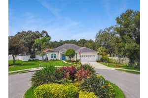 421 OSPREY LANDING DRIVE, LAKELAND, FL 33813 - MLS#MFRO6346653