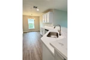 30919 WATER LILY DRIVE, BROOKSVILLE, FL 34602 Sold 11/18/25