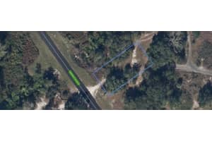 525 WASHINGTON BOULEVARD, LAKE PLACID, FL 33852 - MLS#MFRO6346880