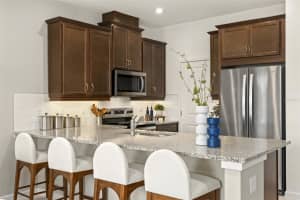 9956 RED CANOE ALLEY, ORLANDO, FL 32832 - MLS#MFRO6346939