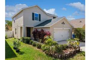10531 WHISPERING HAMMOCK DRIVE, RIVERVIEW, FL 33578 - MLS#MFRO6347006