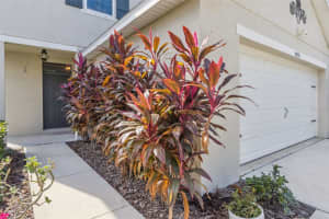 10531 WHISPERING HAMMOCK DRIVE, RIVERVIEW, FL 33578 - MLS#MFRO6347006