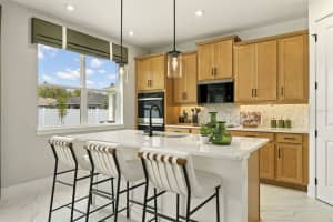 10132 MILESTONE CIRCLE, ORLANDO, FL 32832 - MLS#MFRO6347274