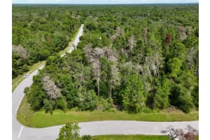 13753 SAND OAK COURT, HUDSON, FL 34669 - MLS#MFRO6347330