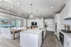 2576 PINE PRESERVE COURT, ST CLOUD, FL 34771 - MLS#MFRO6347399