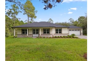 42044 CHINABERRY WAY, EUSTIS, FL 32736 - MLS#MFRO6347496