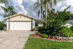 15909 CRYING WIND DRIVE, TAMPA, FL 33624 - MLS#MFRO6347530