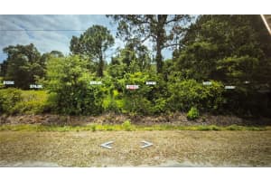 1450 OLSEN ROAD, AVON PARK, FL 33825 - MLS#MFRO6347679