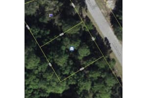 1548 MEDITERRANEAN DRIVE, KISSIMMEE, FL 34759 - MLS#MFRO6347737