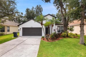 4606 WHISPERING WIND AVENUE, TAMPA, FL 33614 - MLS#MFRO6347740