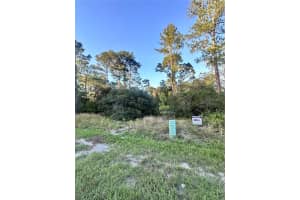 1566 MARLIN DRIVE, KISSIMMEE, FL 34759 - MLS#MFRO6347745