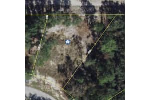 419 RAINBOW COURT, KISSIMMEE, FL 34759 Sold 12/12/25