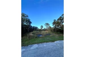 419 RAINBOW COURT, KISSIMMEE, FL 34759 Sold 12/12/25