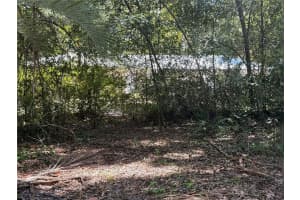 590 LAWTON AVENUE, ORANGE CITY, FL 32763 - MLS#MFRO6347811