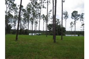 36426 TANNER LANE, EUSTIS, FL 32736 - MLS#MFRO6347812