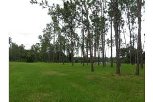 36426 TANNER LANE, EUSTIS, FL 32736 - MLS#MFRO6347812