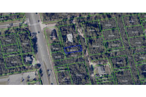 11270 COMMERCIAL STREET, ORLANDO, FL 32836 - MLS#MFRO6347847