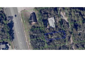 11270 COMMERCIAL STREET, ORLANDO, FL 32836 - MLS#MFRO6347847