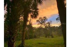 1705 SUNSET TRAIL, GENEVA, FL 32732 - MLS#MFRO6347868