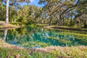 23291 LAKE LINDSEY ROAD, BROOKSVILLE, FL 34601 - MLS#MFRO6347912