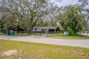 4617 SENECA AVENUE, TAMPA, FL 33617 - MLS#MFRO6347990
