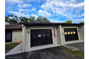804 MCKENZIE LANE, LEESBURG, FL 34748 - MLS#MFRO6348071