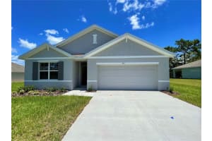 456 Hickory Course Loop, OCALA