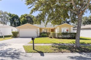 167 Laurel Ridge Ave, OCOEE 167 Laurel Ridge Ave, OCOEE