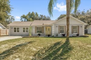 40140 PALM STREET, LADY LAKE, FL 32159 - MLS#MFRO6348189