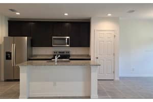 209 GLASS ONION DRIVE, GROVELAND, FL 34737 - MLS#MFRO6348251