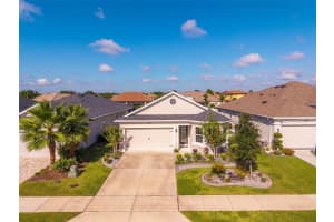 8677 BRIDGEPORT BAY CIRCLE, MOUNT DORA, FL 32757 - MLS#MFRO6348415