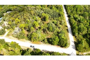 SYRACUSE DR, BROOKSVILLE, FL 34614 - MLS#MFRO6348607
