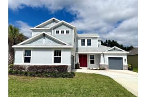 33346 CASTAWAY LOOP, WESLEY CHAPEL, FL 33543 - MLS#MFRO6348692
