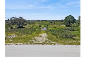 2253 SHULA ROAD, AVON PARK, FL 33825 - MLS#MFRO6348774