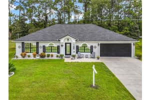 71 BIRCHWOOD DRIVE, PALM COAST, FL 32137 - MLS#MFRO6348810