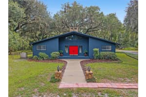 11427 10TH TERRACE, MICANOPY, FL 32667 - MLS#MFRO6348904