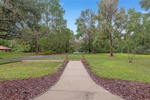 11427 10TH TERRACE, MICANOPY, FL 32667 - MLS#MFRO6348904