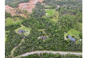 1673 TALLAPOOSA DRIVE, GENEVA, FL 32732 - MLS#MFRO6348988