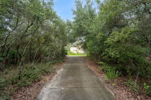 1673 TALLAPOOSA DRIVE, GENEVA, FL 32732 - MLS#MFRO6348988