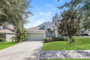 650 CHESNEY DRIVE, VALRICO, FL 33594 - MLS#MFRO6349111