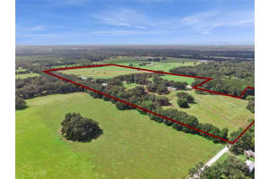 551 200 AVENUE, WILLISTON, FL 32696 - MLS#MFRO6349209