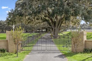 551 200 AVENUE, WILLISTON, FL 32696 - MLS#MFRO6349209