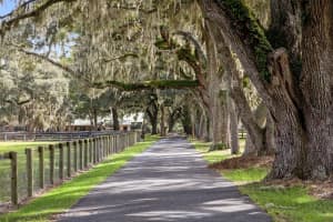 551 200 AVENUE, WILLISTON, FL 32696 - MLS#MFRO6349209