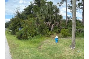 24 FORSYTHE LANE, PALM COAST, FL 32137 - MLS#MFRO6349379