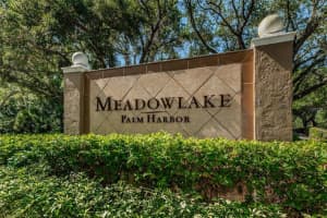 2690 CORAL LANDINGS BOULEVARD, PALM HARBOR, FL 34684 - MLS#MFRO6349437