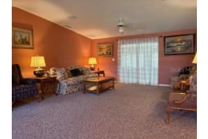 1894 ELIZABETH LANE, MOUNT DORA, FL 32757 - MLS#MFRO6349472