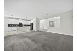 466 BRUNSWICK DRIVE, DAVENPORT, FL 33837 - MLS#MFRO6349497