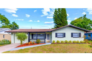 1073 KENWOOD DRIVE, DUNEDIN, FL 34698 - MLS#MFRO6349559