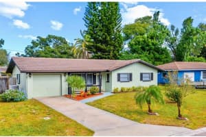 1073 KENWOOD DRIVE, DUNEDIN, FL 34698 - MLS#MFRO6349559
