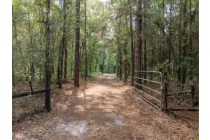 9309 HAPPY TRL, BROOKSVILLE, FL 34601 - MLS#MFRO6349574